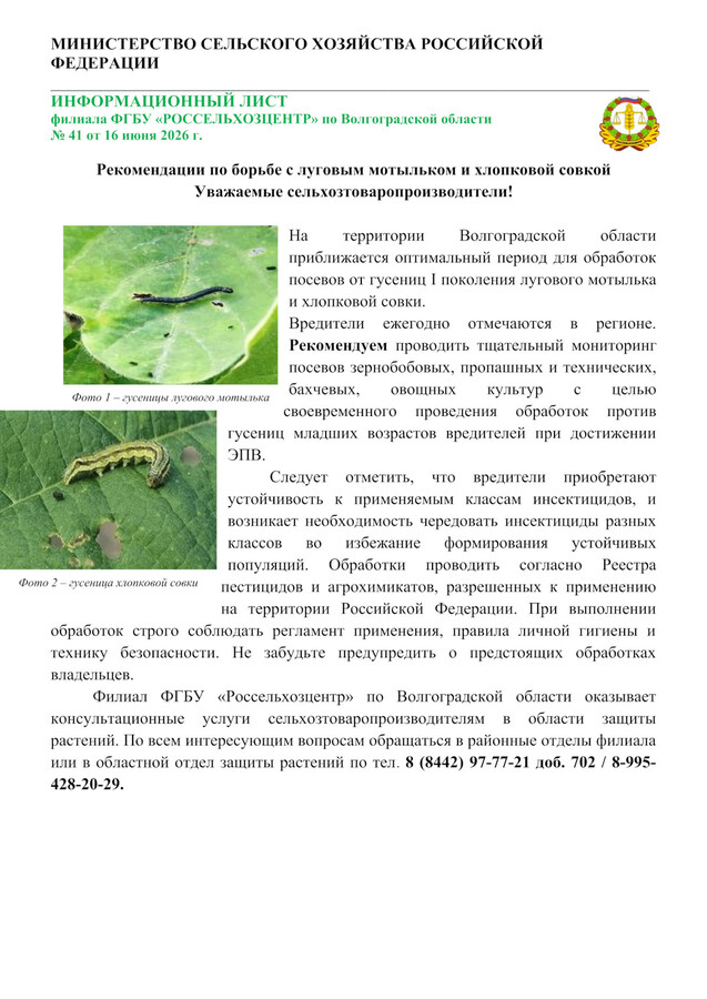 Рекомендации по борьбе с луговым мотыльком и хлопковой совкой